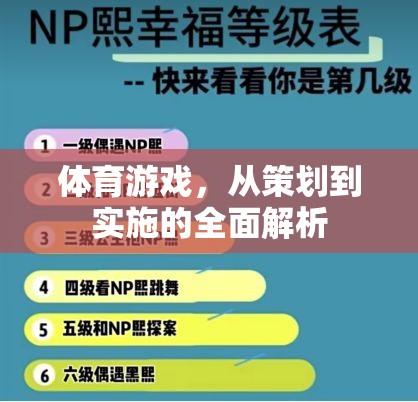 體育游戲，從策劃到實(shí)施的全面解析