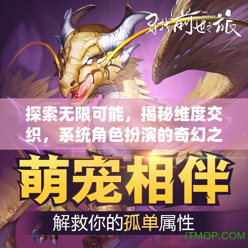 探索無限可能，揭秘維度交織，系統(tǒng)角色扮演的奇幻之旅