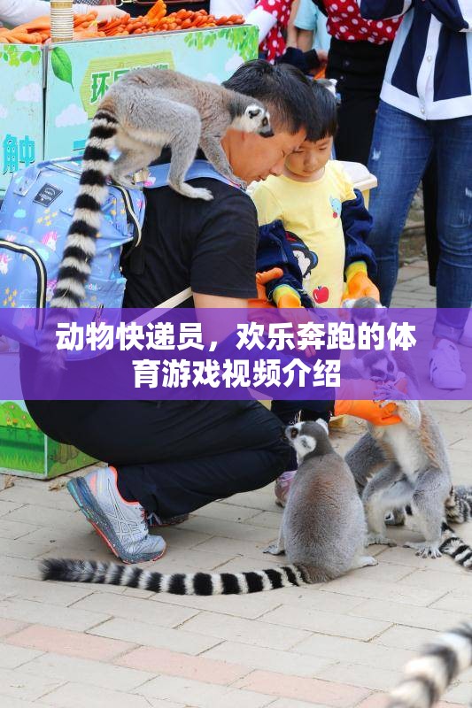 歡樂(lè)奔跑，動(dòng)物快遞員體育游戲視頻揭秘