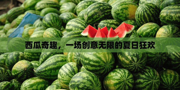 西瓜奇趣，解鎖夏日狂歡的創(chuàng)意盛宴