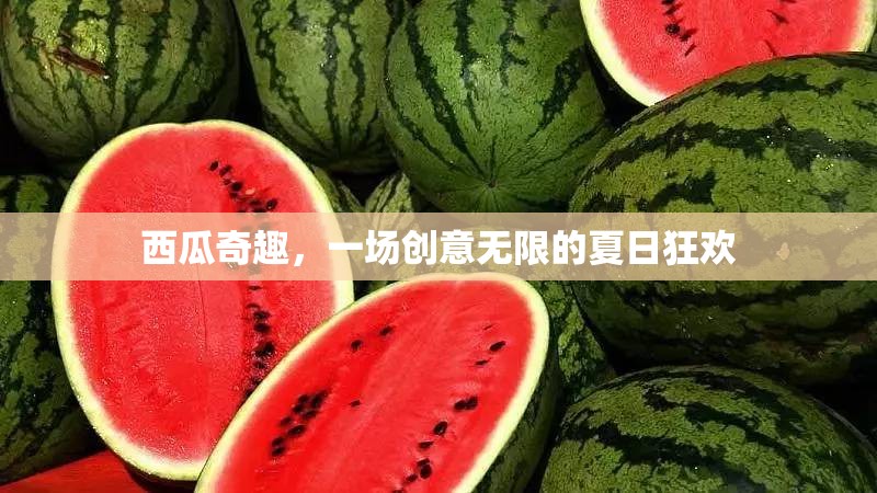 西瓜奇趣，解鎖夏日狂歡的創(chuàng)意盛宴