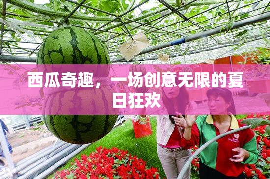 西瓜奇趣，解鎖夏日狂歡的創(chuàng)意盛宴