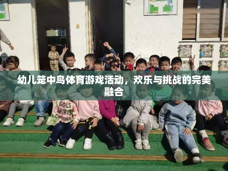 籠中鳥體育游戲，歡樂與挑戰(zhàn)的完美融合