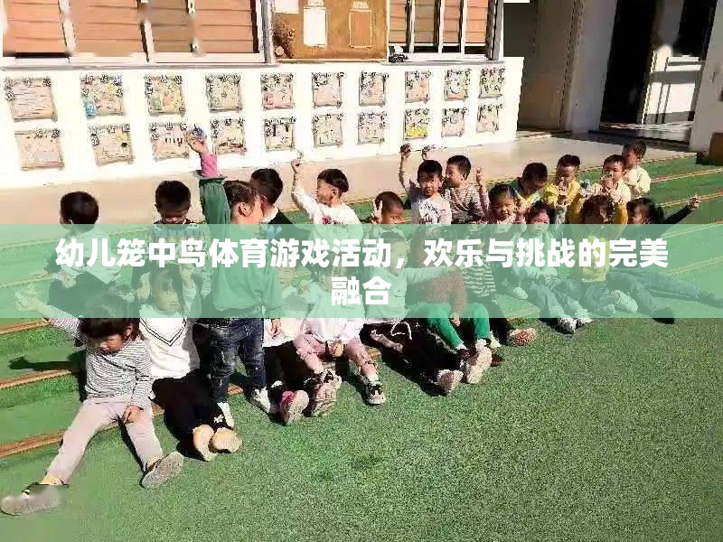 籠中鳥體育游戲，歡樂與挑戰(zhàn)的完美融合