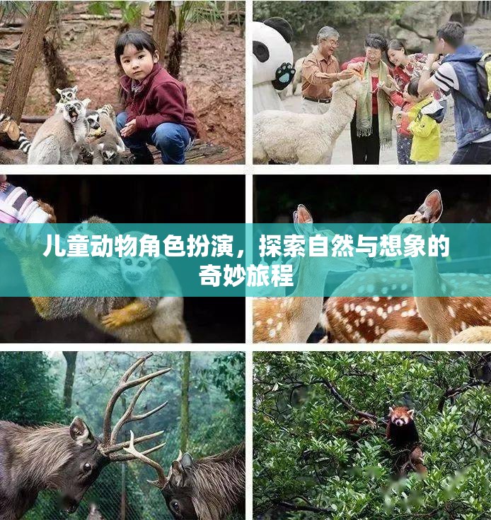 兒童動物角色扮演，探索自然與想象的奇妙旅程