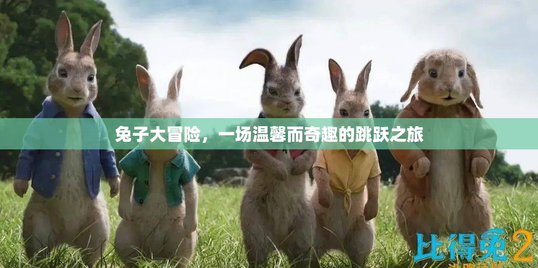 溫馨奇趣的跳躍之旅，兔子大冒險(xiǎn)