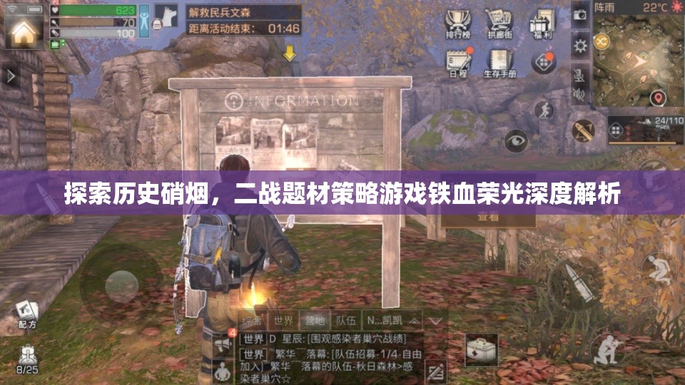 鐵血榮光，深度解析二戰(zhàn)題材策略游戲的硝煙與榮耀