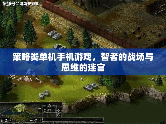 智者的戰(zhàn)場與思維的迷宮，策略類單機手機游戲的深度探索