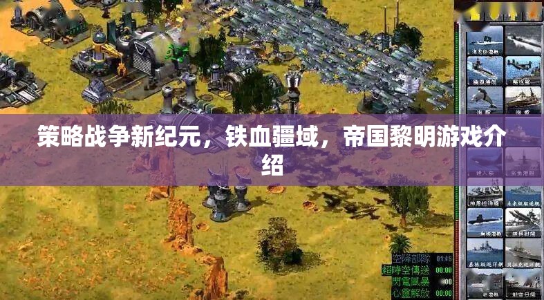鐵血疆域，策略戰(zhàn)爭(zhēng)新紀(jì)元與帝國(guó)黎明的游戲解析