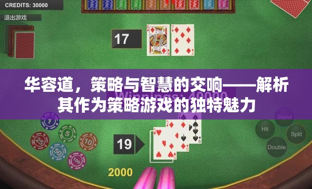 華容道，策略與智慧的交響樂(lè)章