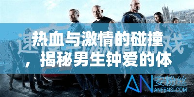 熱血與激情的碰撞，揭秘男生鐘愛(ài)的體育游戲類型