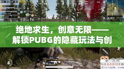 絕地求生，解鎖PUBG的隱藏玩法與創(chuàng)意模式