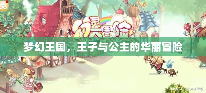 夢(mèng)幻王國(guó)，王子與公主的華麗冒險(xiǎn)  第1張