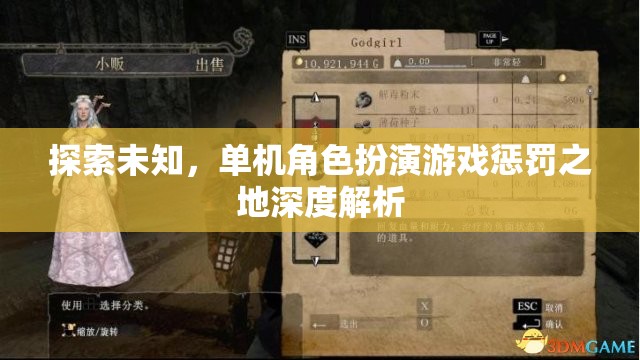 探索未知，單機(jī)角色扮演游戲懲罰之地深度解析