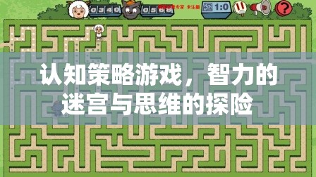 智力的迷宮與思維的探險(xiǎn)，認(rèn)知策略游戲的挑戰(zhàn)與樂(lè)趣