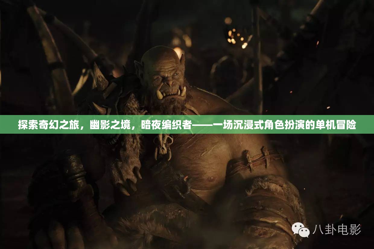 幽影之境，暗夜編織者的奇幻沉浸式冒險(xiǎn)之旅