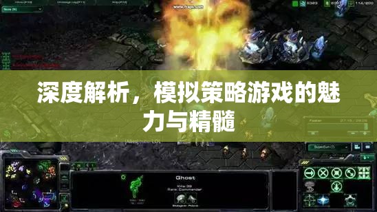 深度探索，模擬策略游戲的魅力與精髓