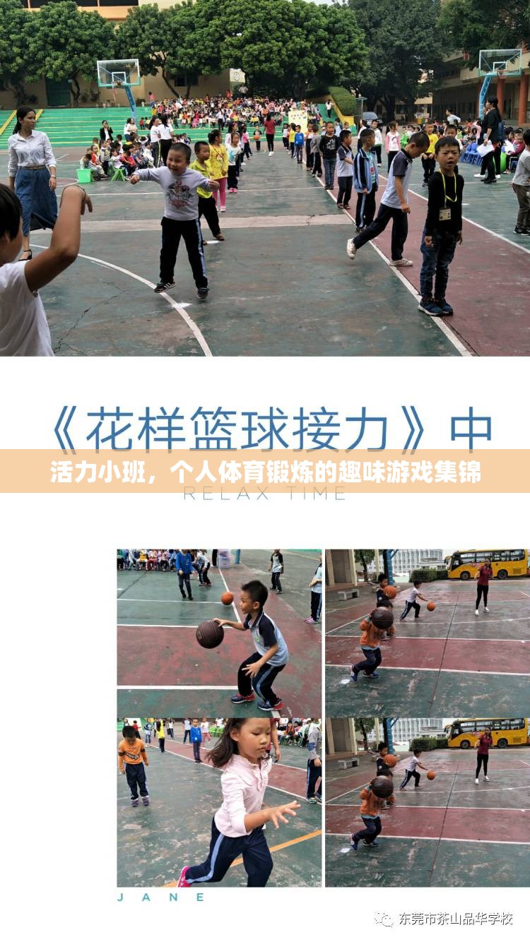 活力小班，解鎖個人體育鍛煉的趣味游戲新體驗