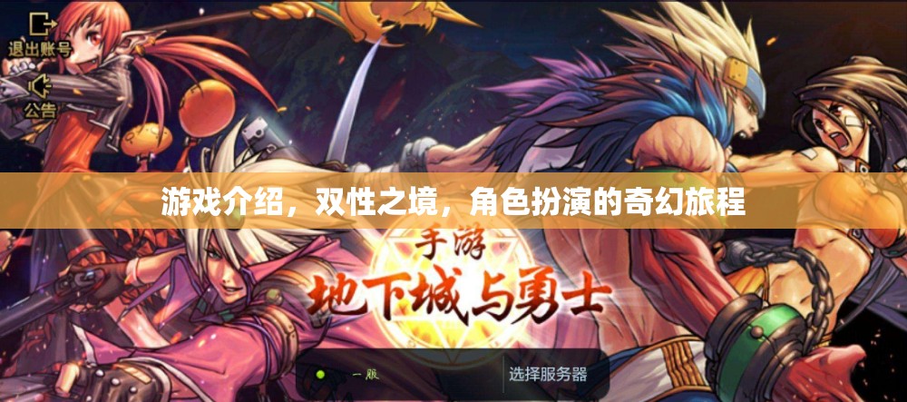 雙性之境，角色扮演的奇幻旅程  第2張