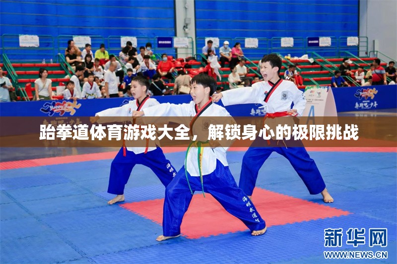 跆拳道體育游戲大全，解鎖身心極限的挑戰(zhàn)之旅