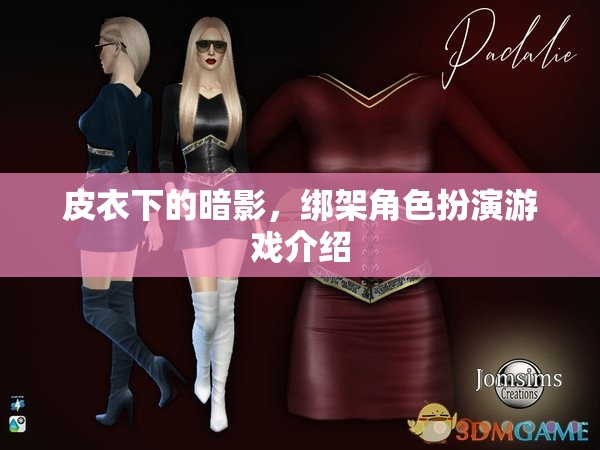 皮衣下的暗影，揭秘綁架角色扮演游戲的魅力與挑戰(zhàn)