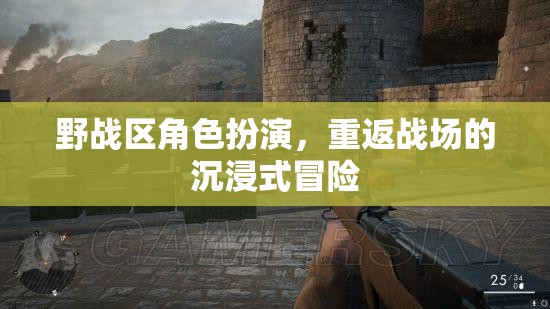 重返戰(zhàn)場，野戰(zhàn)區(qū)角色扮演的沉浸式冒險之旅