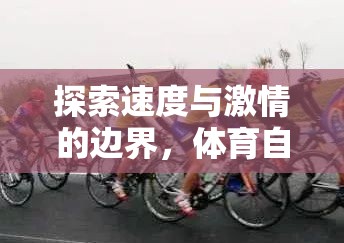 速度與激情的極限挑戰(zhàn)，體育自行車游戲的魅力之旅