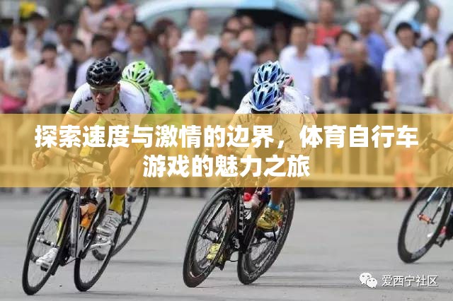 速度與激情的極限挑戰(zhàn)，體育自行車游戲的魅力之旅