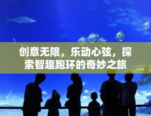 智趣跑環(huán)，創(chuàng)意無限，樂動(dòng)心弦的奇妙之旅