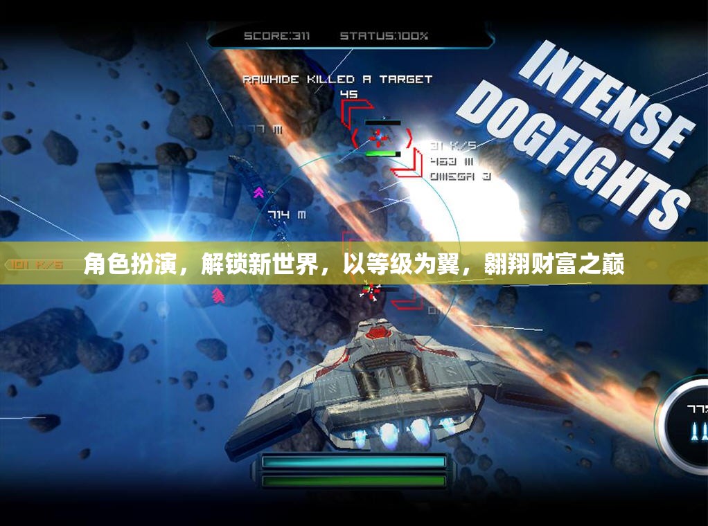 角色扮演，解鎖新世界，以等級(jí)為翼翱翔財(cái)富之巔
