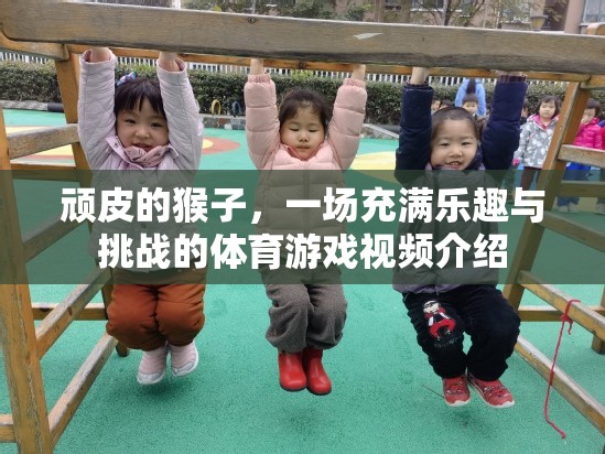 頑猴挑戰(zhàn)，一場(chǎng)充滿樂(lè)趣與挑戰(zhàn)的體育游戲