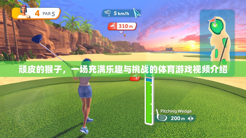 頑猴挑戰(zhàn)，一場(chǎng)充滿樂(lè)趣與挑戰(zhàn)的體育游戲
