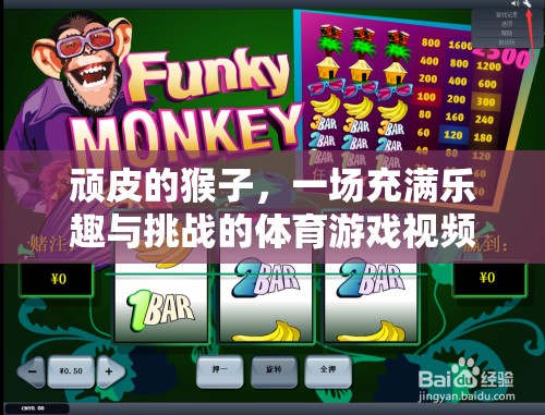 頑猴挑戰(zhàn)，一場(chǎng)充滿樂(lè)趣與挑戰(zhàn)的體育游戲