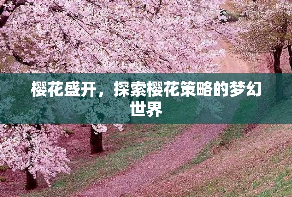 櫻花盛開，探索櫻花策略的夢幻世界