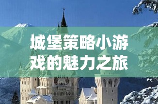 智慧與勇氣的較量，城堡策略小游戲的魅力之旅