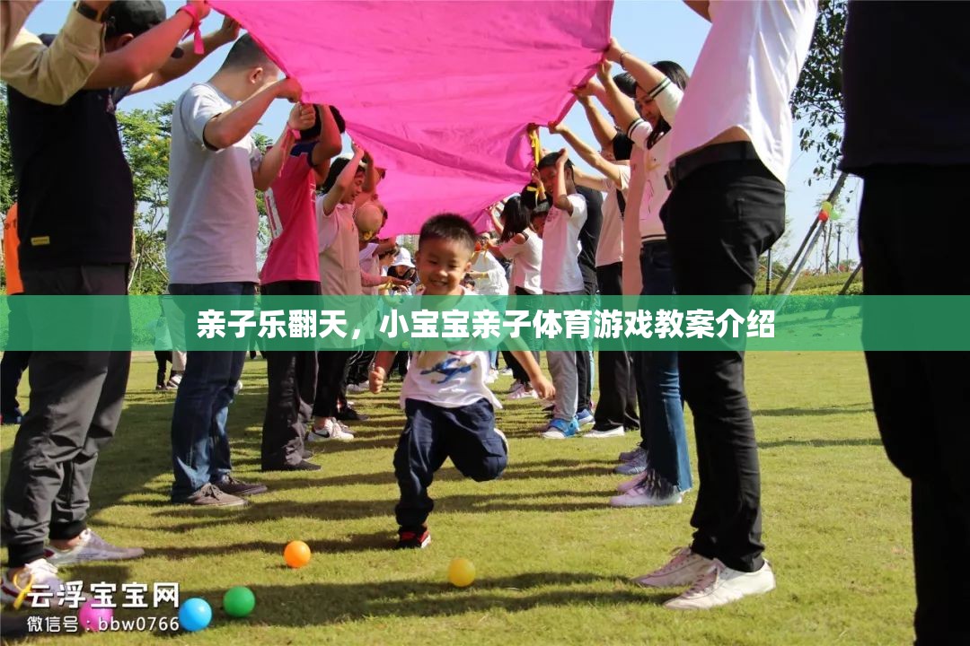 親子樂翻天，小寶寶親子體育游戲教案全解析  第3張