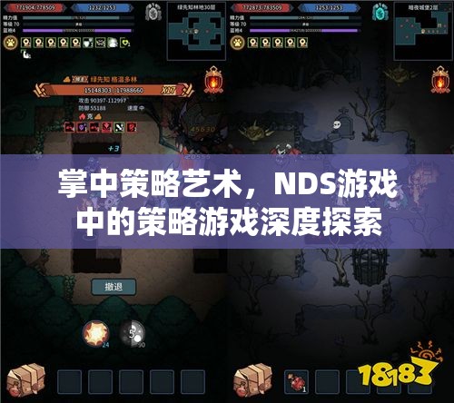 NDS游戲中的策略藝術(shù)，掌中策略的深度探索