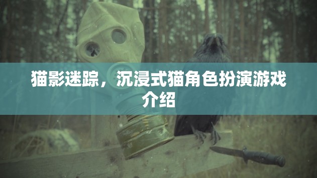 貓影迷蹤，探索沉浸式貓角色扮演的奇妙世界