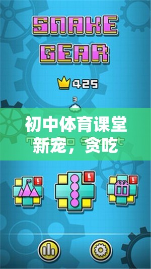 初中體育課堂新寵，貪吃蛇游戲的趣味與挑戰(zhàn)