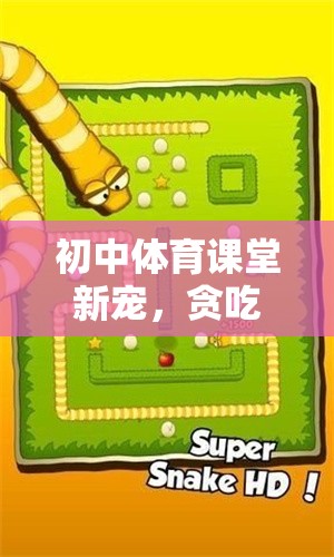 初中體育課堂新寵，貪吃蛇游戲的趣味與挑戰(zhàn)