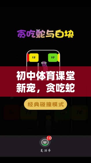 初中體育課堂新寵，貪吃蛇游戲的趣味與挑戰(zhàn)