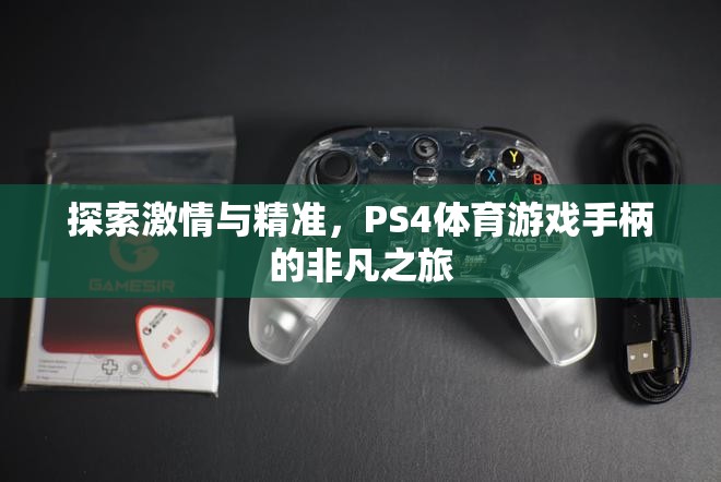 PS4體育游戲手柄，探索激情與精準的非凡之旅  第3張