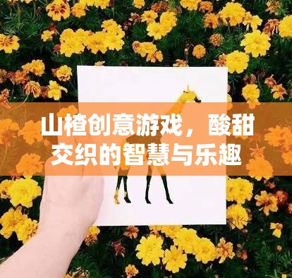 酸甜智慧，山楂創(chuàng)意游戲帶來的樂趣與啟迪