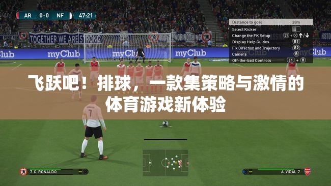 策略與激情的碰撞，飛躍吧！排球體育游戲新體驗