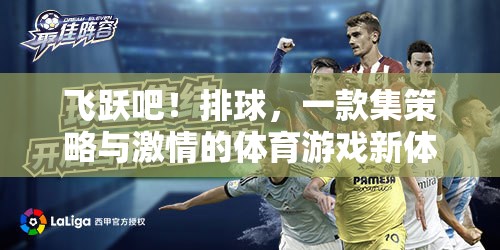 策略與激情的碰撞，飛躍吧！排球體育游戲新體驗