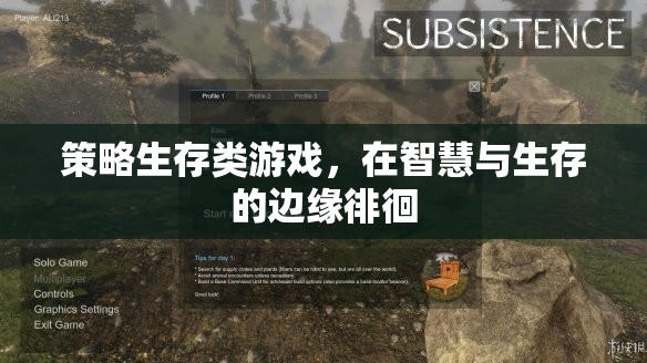 智慧與生存的邊緣，策略生存類游戲的挑戰(zhàn)與抉擇