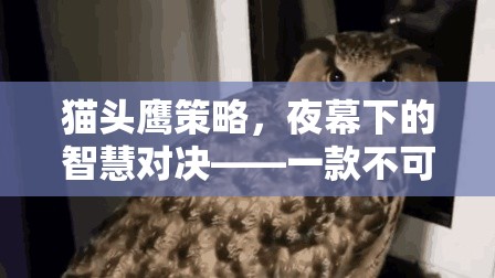 夜幕下的智慧對決，貓頭鷹策略游戲下載指南