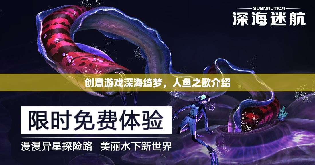 深海綺夢，人魚之歌——探索神秘海洋的夢幻之旅