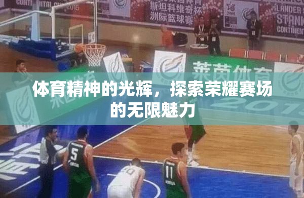 體育精神的光輝，探索榮耀賽場的無限魅力