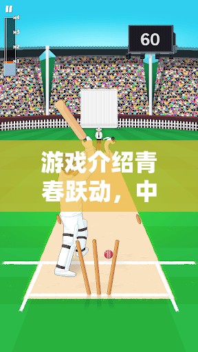 青春躍動，中學生體育考試模擬器——點燃激情的虛擬挑戰(zhàn)